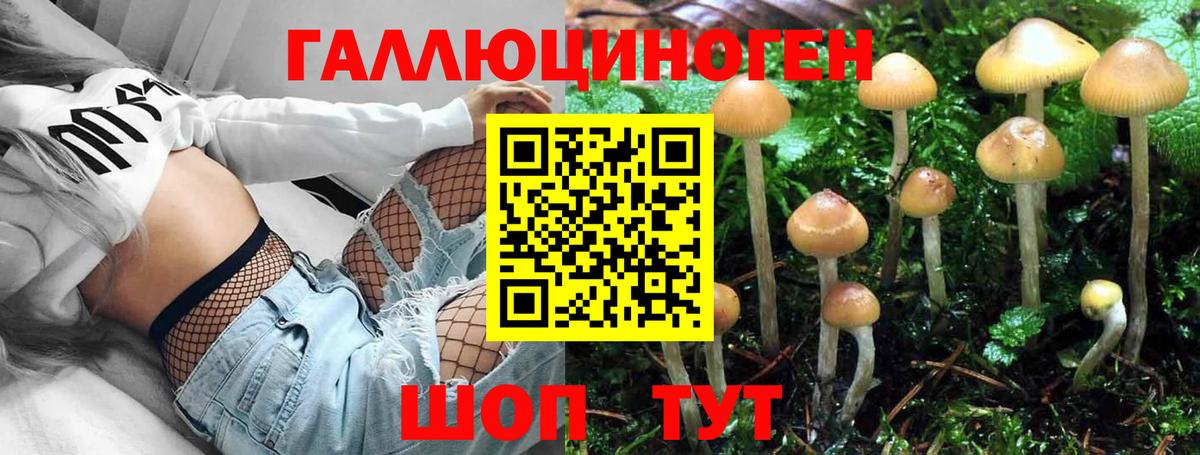 Галлюциногенные грибы Magic Shrooms  купить наркотики сайты  Кумертау  Вход с VPN 